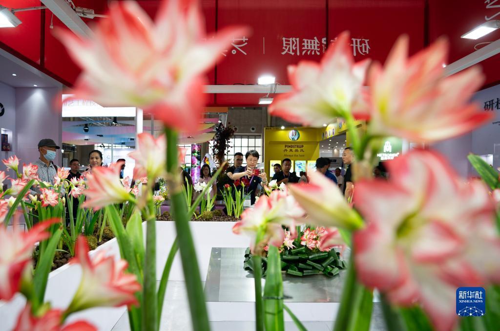 巴黎人网投地址